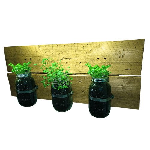 herb garden mason jar planter