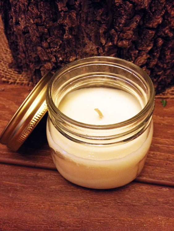 Wild Berry Mash Soy Wax Candle