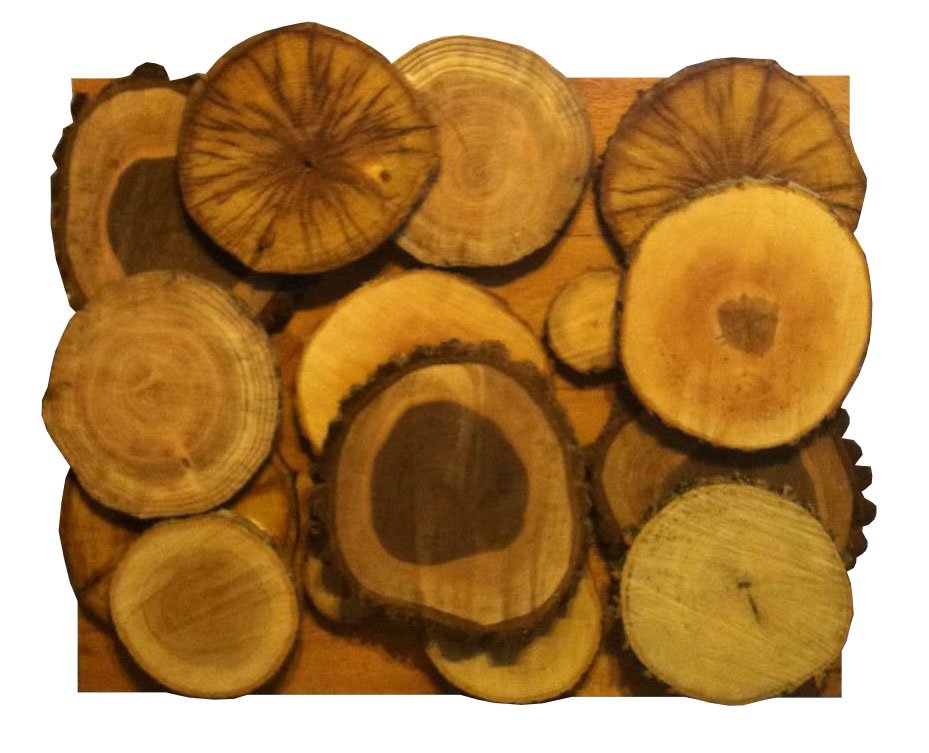 wood wall art